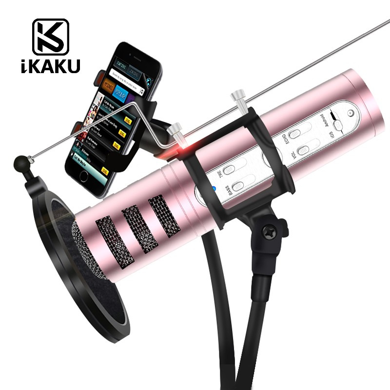 Professional Karaoke Microphone 