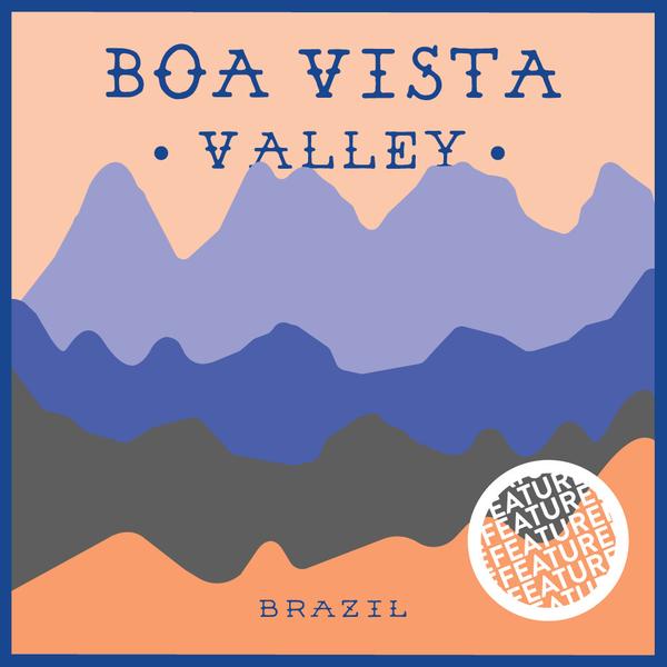 Brazil Boa Vista