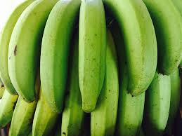 Fresh Green Bananas, organically grown - 22 lbs/box