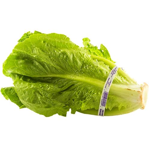 Organic Romaine Lettuce, 24 Count