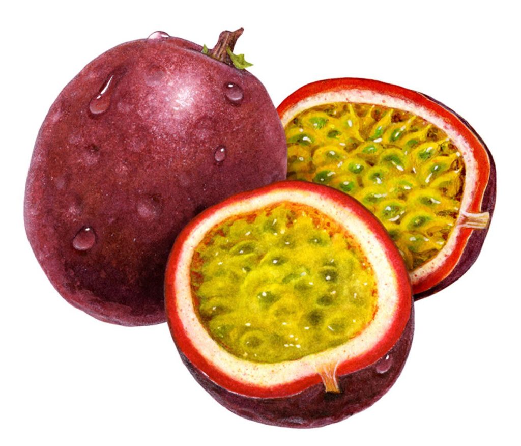 Fresh Passion Fruits Red, organically grown - 22 lbs/box