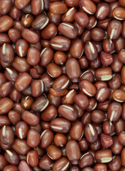 Small Red Beans - 25 lb ($42)