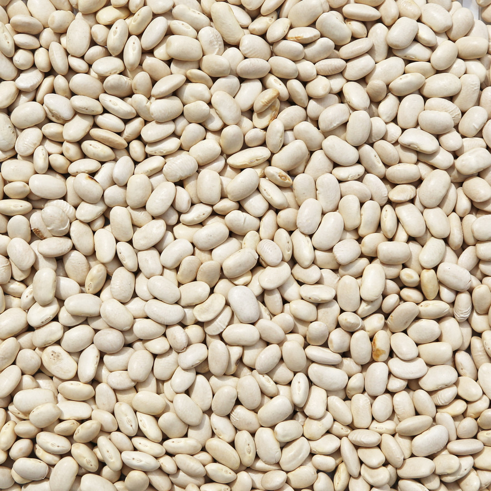 Organic Cannellini (White Kidney) Beans