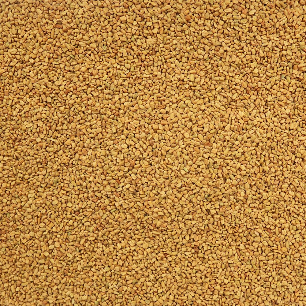 Organic Fenugreek Seeds, whole