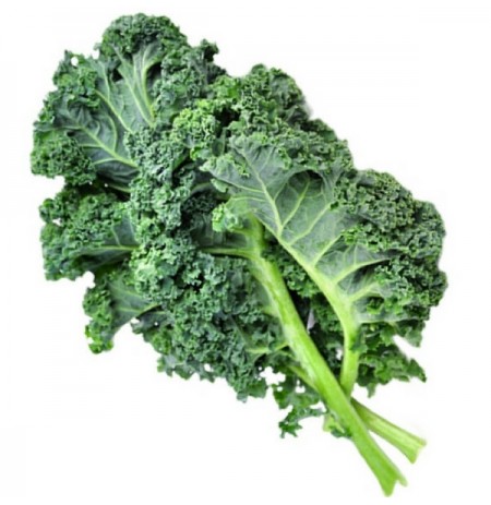 Green Kale - Case of 24 Bunches