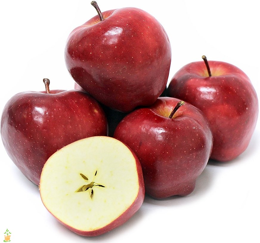 Red Del Apples 88 Count - Case of 40LB